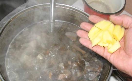 Суп с говядиной и грибами