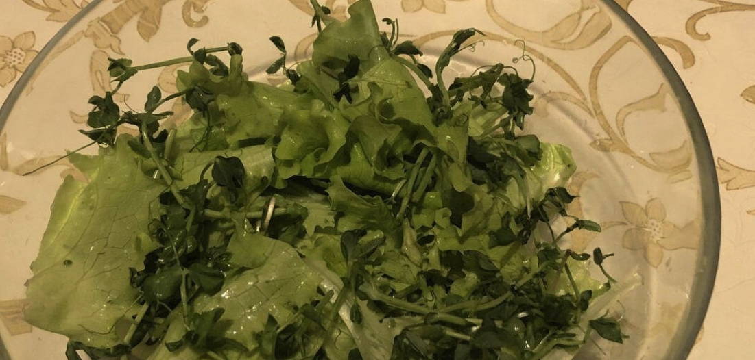 ПП салат с куриной печенью