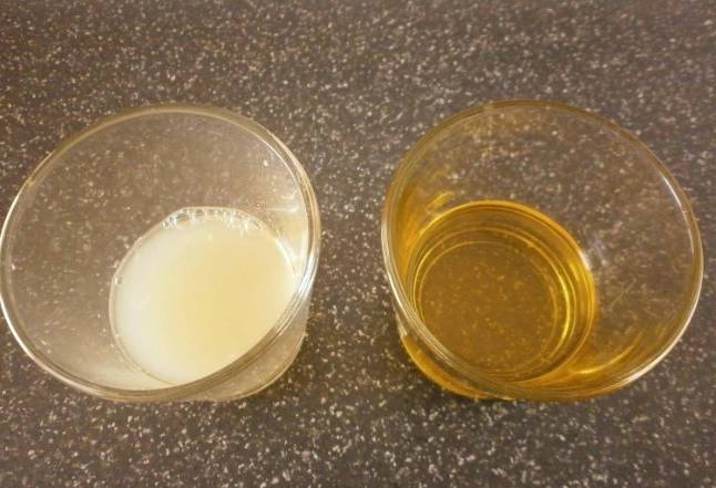 Салат с морепродуктами без майонеза