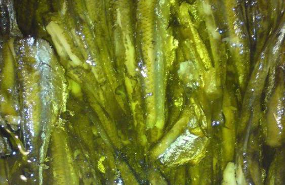 Шпроты из уклейки в домашних условиях