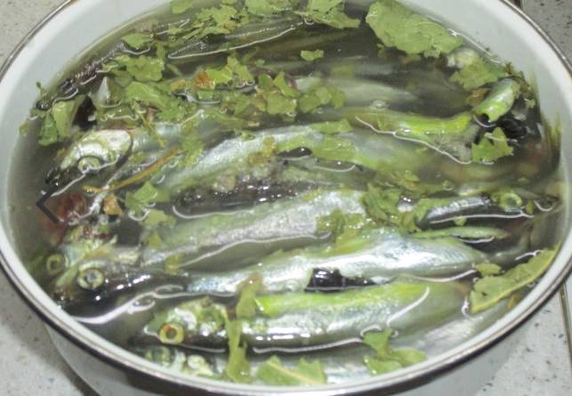 Вяленая мойва в домашних условиях