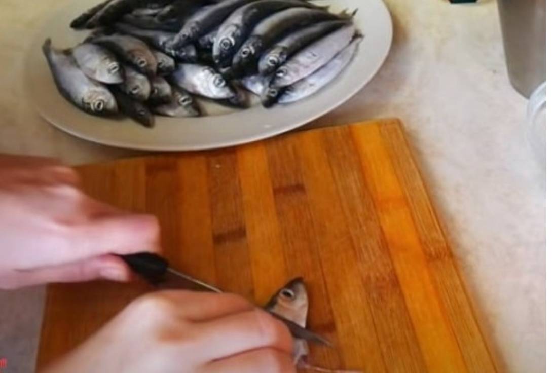 Шпроты из салаки в домашних условиях