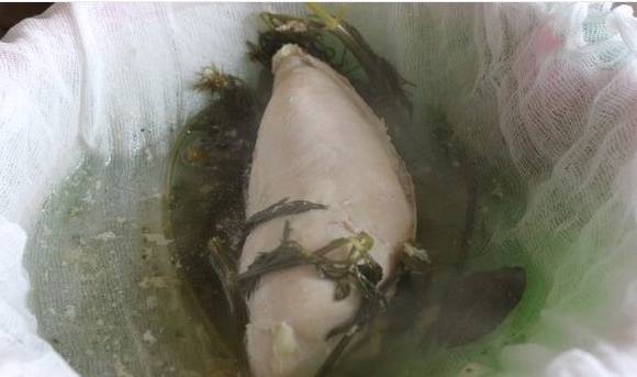 Куриный суп с лапшой и грибами