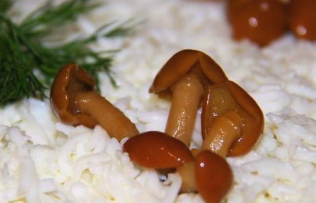 Салат «Лесная поляна» с маринованными опятами