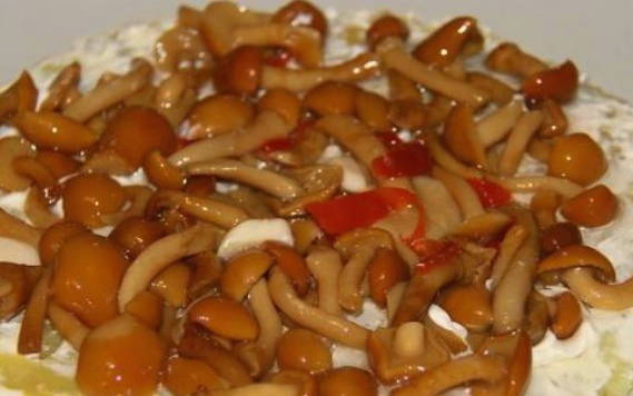 Салат «Лесная поляна» с маринованными опятами