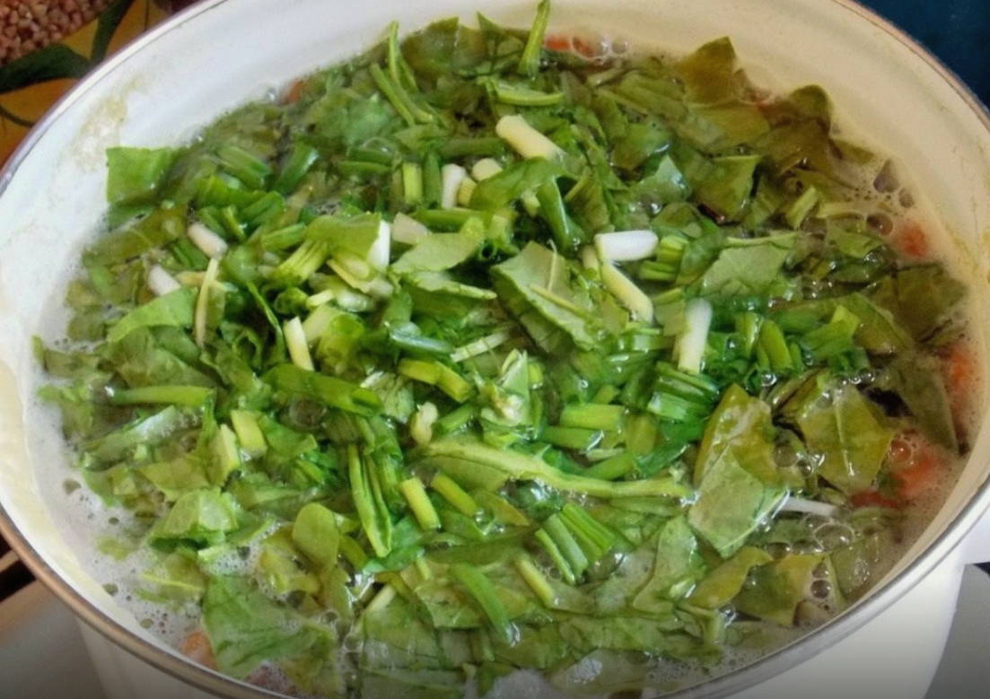 Зелёный борщ без мяса