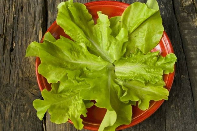 Салат с нутом и курицей Салат с нутом и курицей